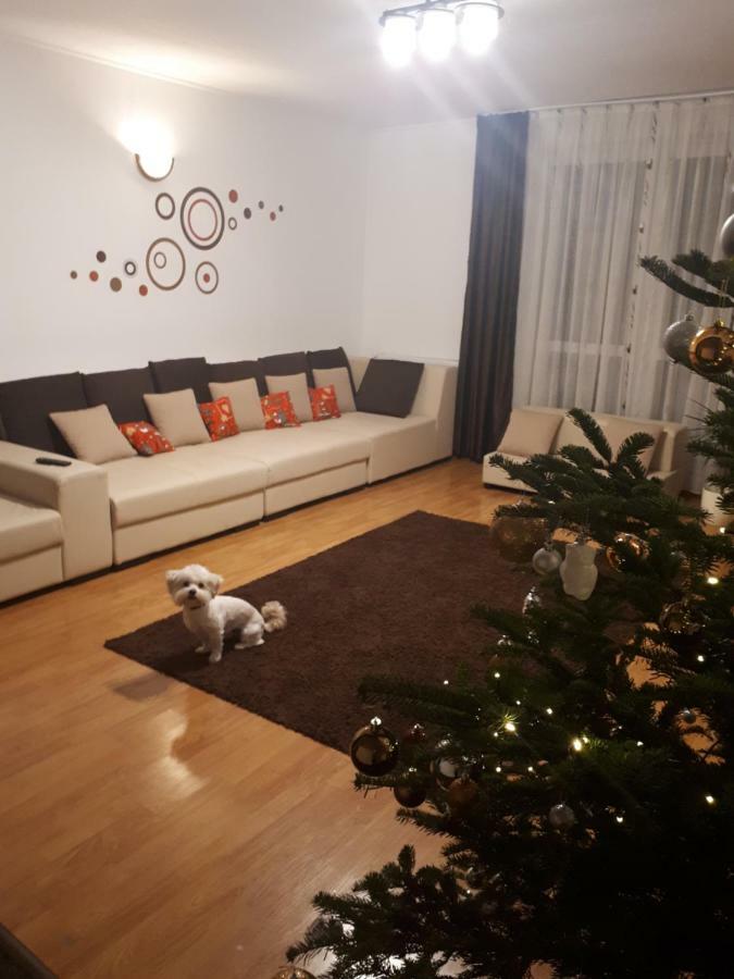 Casa Mais براشوف المظهر الخارجي الصورة