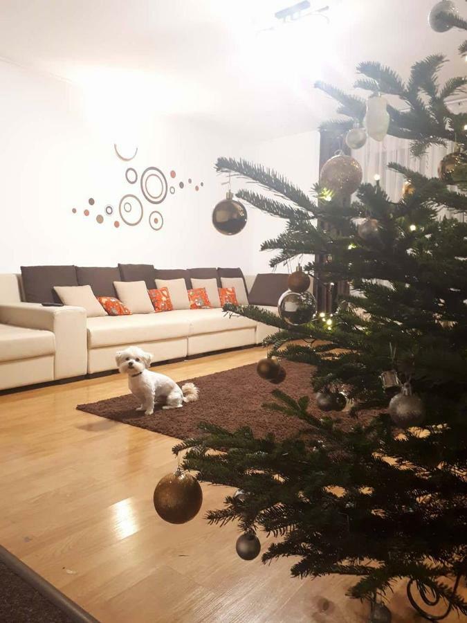Casa Mais براشوف المظهر الخارجي الصورة